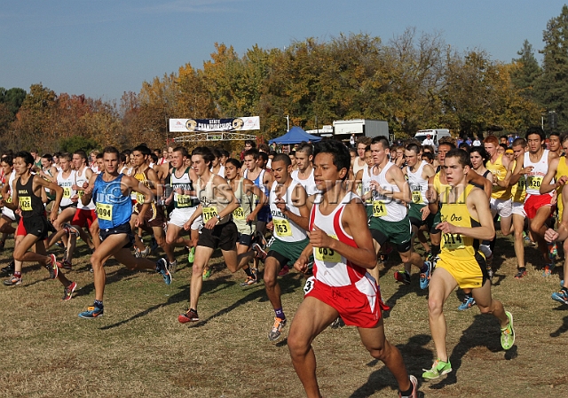 2011CIFXC-D3B-051.JPG - 2011 California CIF Cross Country Championships, Woodward Park, Fresno, California, November 27.