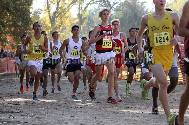 2011CIFXC-D3B-078.JPG - 2011 California CIF Cross Country Championships, Woodward Park, Fresno, California, November 27.