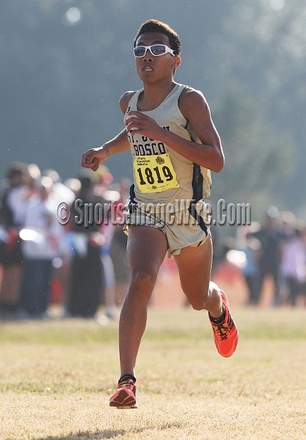 2011CIFXC-D3B-214.JPG - 2011 California CIF Cross Country Championships, Woodward Park, Fresno, California, November 27.