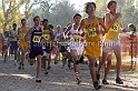2011CIFXC-D3B-100