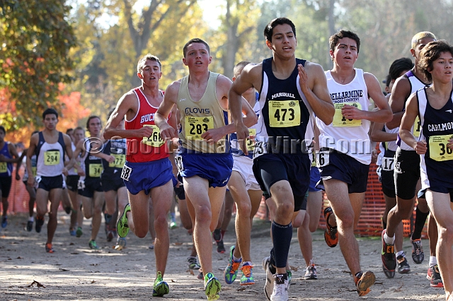 2011CIFXC-D1B-042.JPG - 2011 California CIF Cross Country Championships, Woodward Park, Fresno, California, November 27.