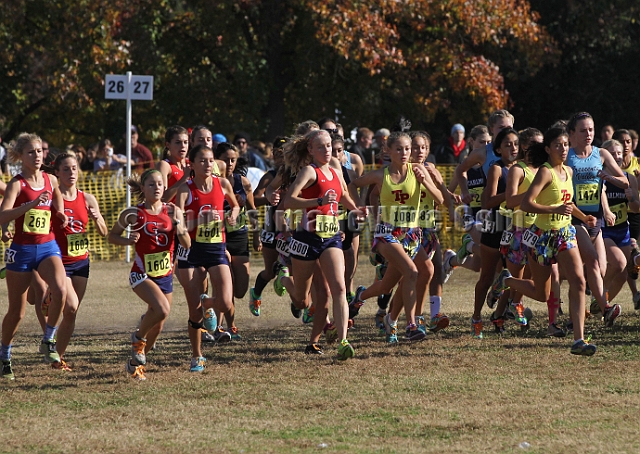 2011CIFXC-D1G-007.JPG - 2011 California CIF Cross Country Championships, Woodward Park, Fresno, California, November 27.