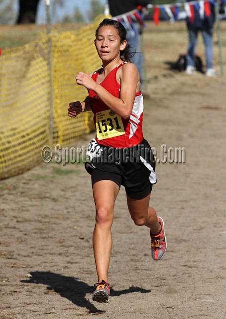 2011CIFXC-D1G-068.JPG - 2011 California CIF Cross Country Championships, Woodward Park, Fresno, California, November 27.