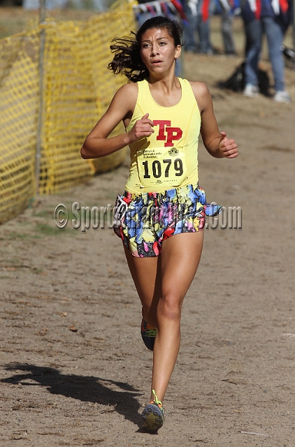 2011CIFXC-D1G-083.JPG - 2011 California CIF Cross Country Championships, Woodward Park, Fresno, California, November 27.