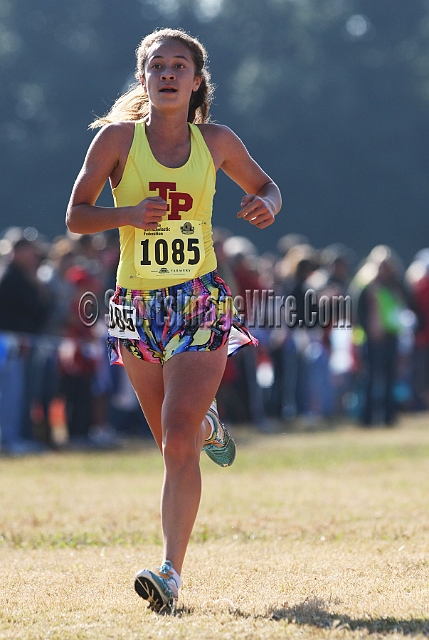 2011CIFXC-D1G-266.JPG - 2011 California CIF Cross Country Championships, Woodward Park, Fresno, California, November 27.