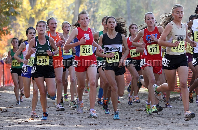 2011CIFXC-D2G-064.JPG - 2011 California CIF Cross Country Championships, Woodward Park, Fresno, California, November 27.