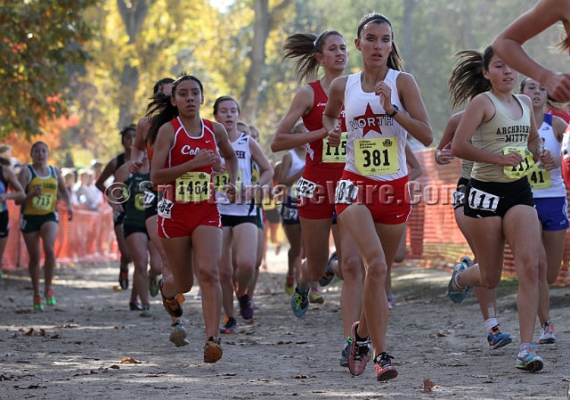 2011CIFXC-D2G-093.JPG - 2011 California CIF Cross Country Championships, Woodward Park, Fresno, California, November 27.