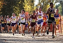 2011CIFXC-D2B-044
