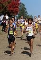 2011CIFXC-D2B-110