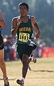 2011CIFXC-D2B-254