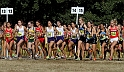 2011CIFXC-D2G-017