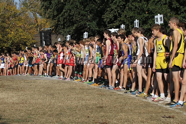 2011CIFXC-D4B-001.JPG - 2011 California CIF Cross Country Championships, Woodward Park, Fresno, California, November 27.