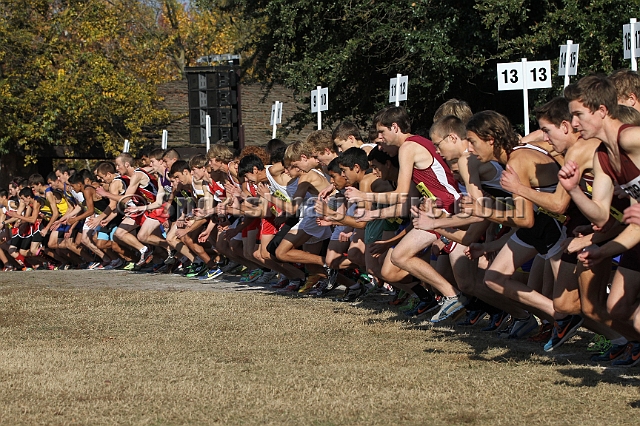 2011CIFXC-D4B-008.JPG - 2011 California CIF Cross Country Championships, Woodward Park, Fresno, California, November 27.