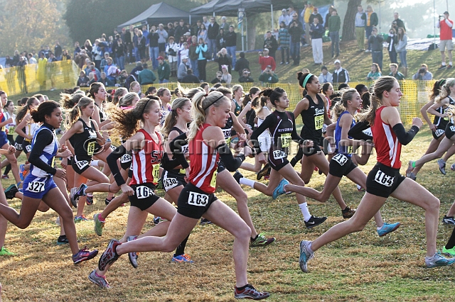 2011CIFXC-D4G-013.JPG - 2011 California CIF Cross Country Championships, Woodward Park, Fresno, California, November 27.
