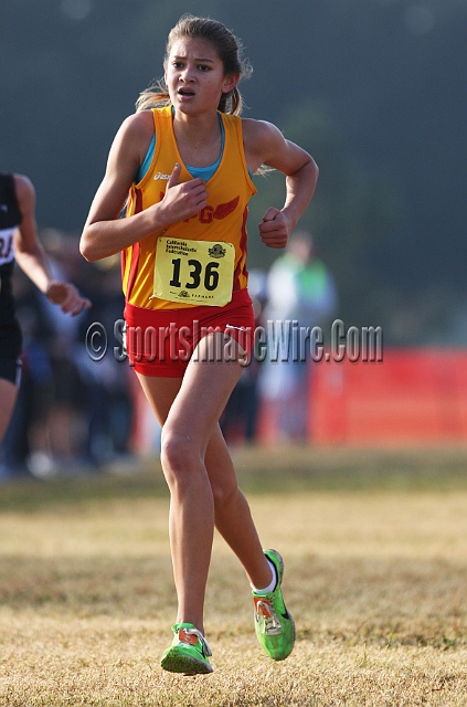 2011CIFXC-D4G-141.JPG - 2011 California CIF Cross Country Championships, Woodward Park, Fresno, California, November 27.