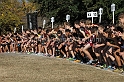 2011CIFXC-D4B-005