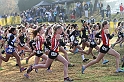 2011CIFXC-D4G-013