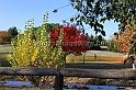 2011CIFXCFri-002