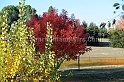 MMG_4538