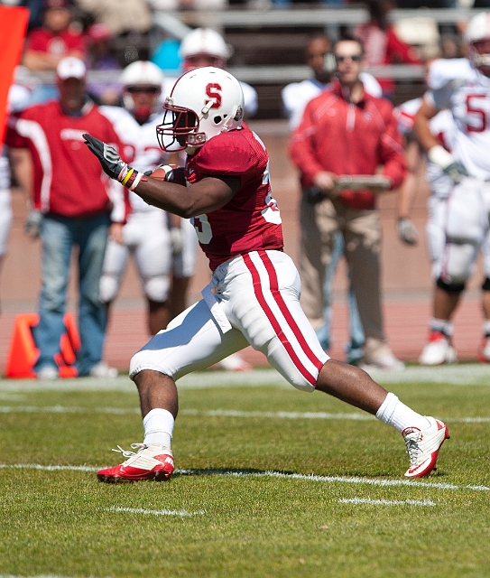 2011CardinalWhite-049.JPG