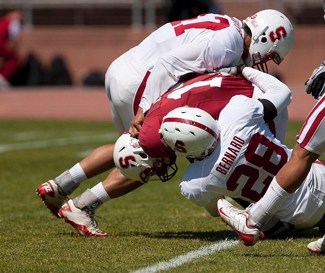2011CardinalWhite-051.JPG