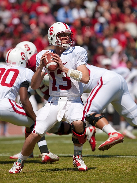 2011CardinalWhite-053.JPG