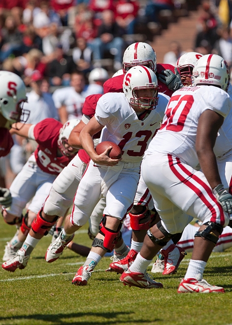 2011CardinalWhite-058.JPG