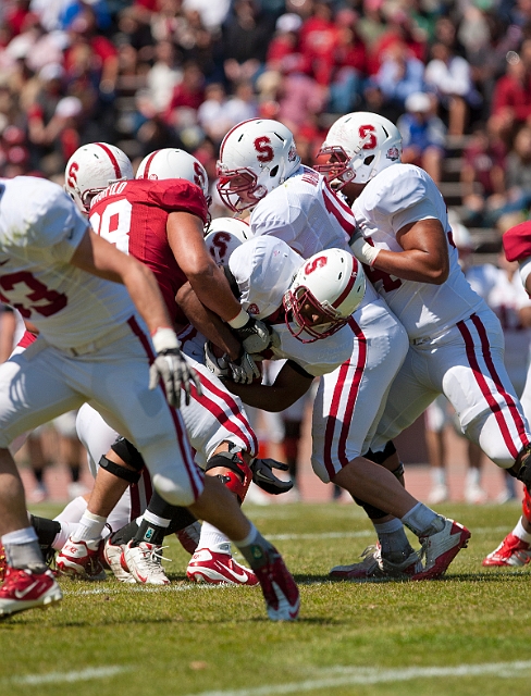 2011CardinalWhite-059.JPG
