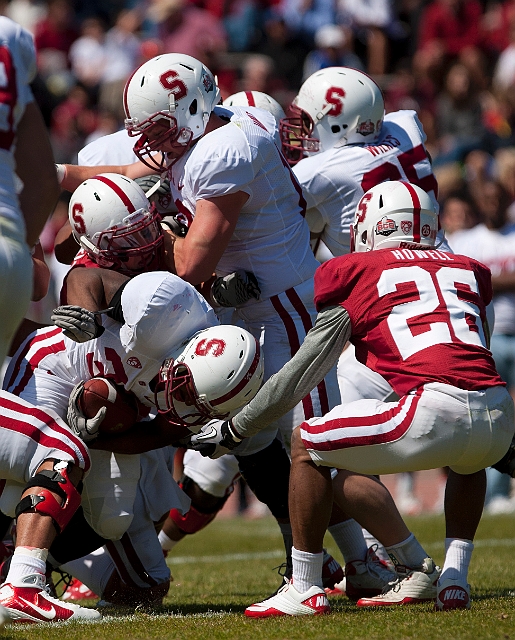 2011CardinalWhite-060.JPG