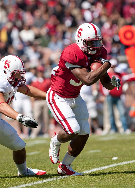 2011CardinalWhite-065.JPG