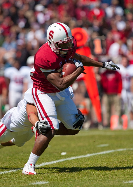 2011CardinalWhite-067.JPG