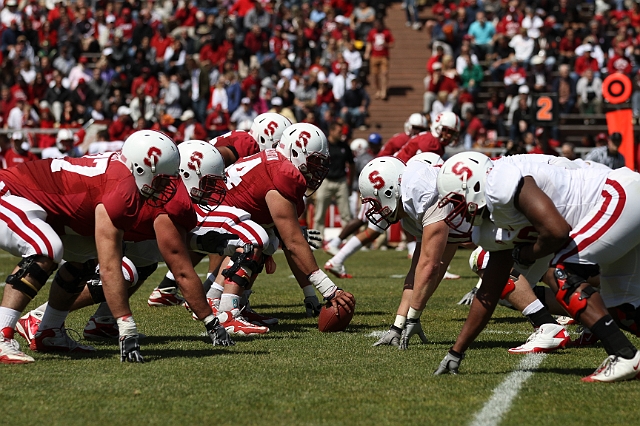 2011CardinalWhite-069.JPG