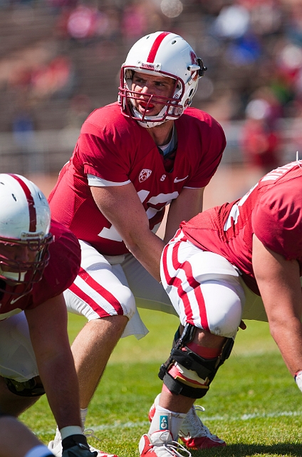 2011CardinalWhite-072.JPG