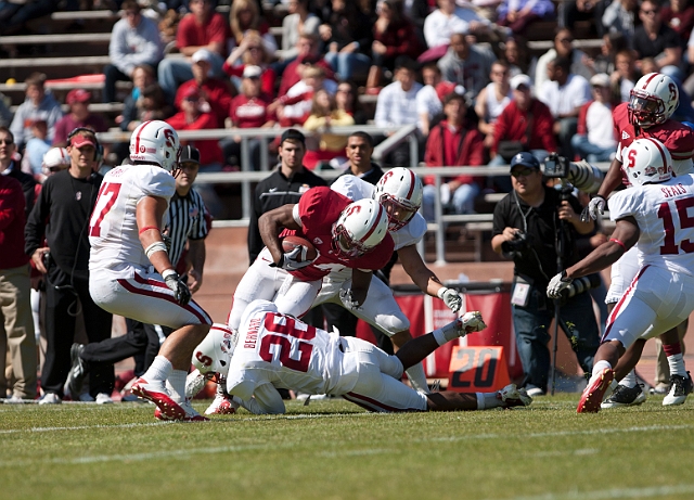 2011CardinalWhite-088.JPG