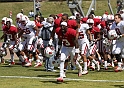2011CardinalWhite-046