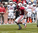 2011CardinalWhite-048
