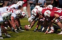 2011CardinalWhite-052