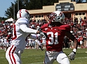 2011CardinalWhite-061