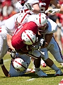 2011CardinalWhite-068