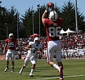 2011CardinalWhite-076