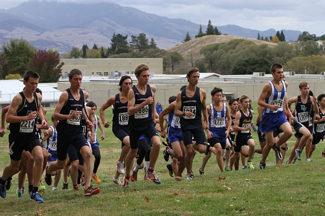2011DFALXC-121.JPG - Diablo Foothill Athletic League Cross Country Championships, November 5, 2011, at Hidden Lakes Park, Martinez, CA