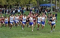 2011DFALXC-001