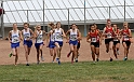 2011DFALXC-032