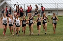 2011DFALXC-033