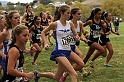 2011DFALXC-035