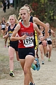 2011DFALXC-045