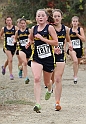 2011DFALXC-053