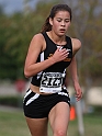 2011DFALXC-098