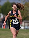 2011DFALXC-108