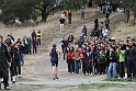 2011DFALXC-136